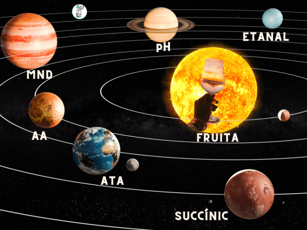 Explorant la diversitat del vi: més enllà de la fruita 